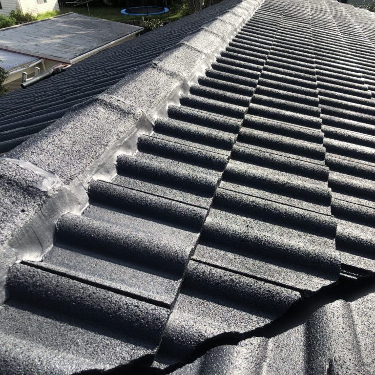 roof painting of concrete roof tile in west Auckland 