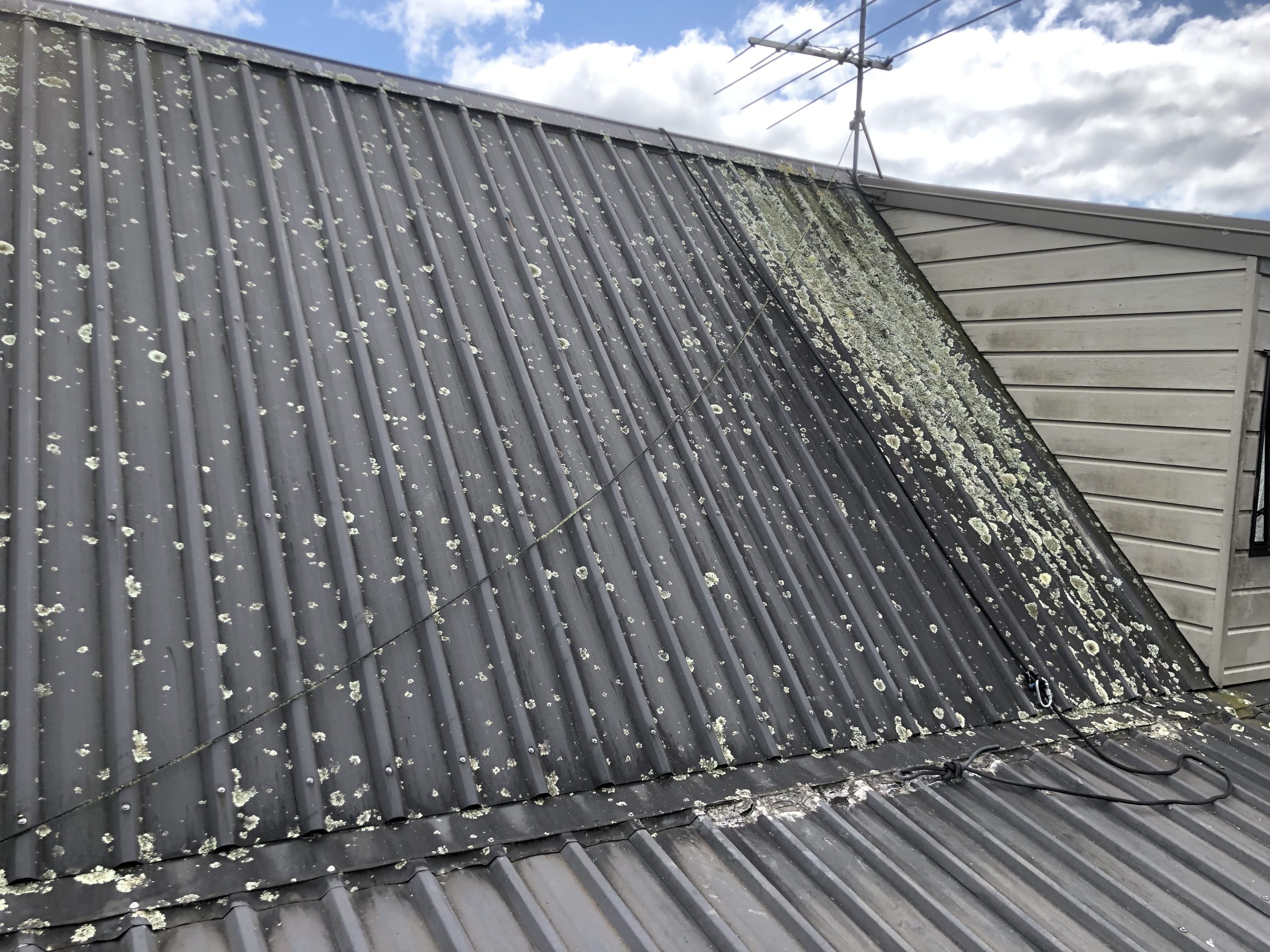 roof painting metal roof before