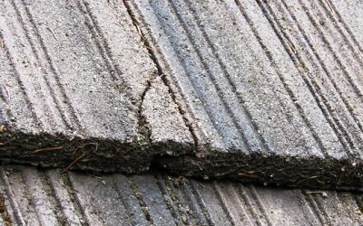 Expert Concrete Roof Tile Repairs in Auckland